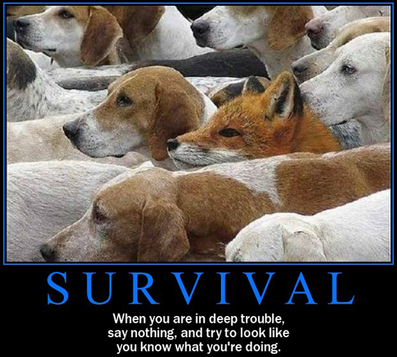 The Art of Survival